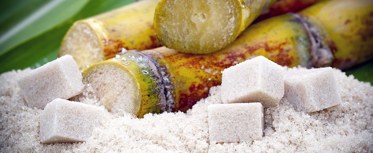 Carbón activado para Alimentos y Bebidas