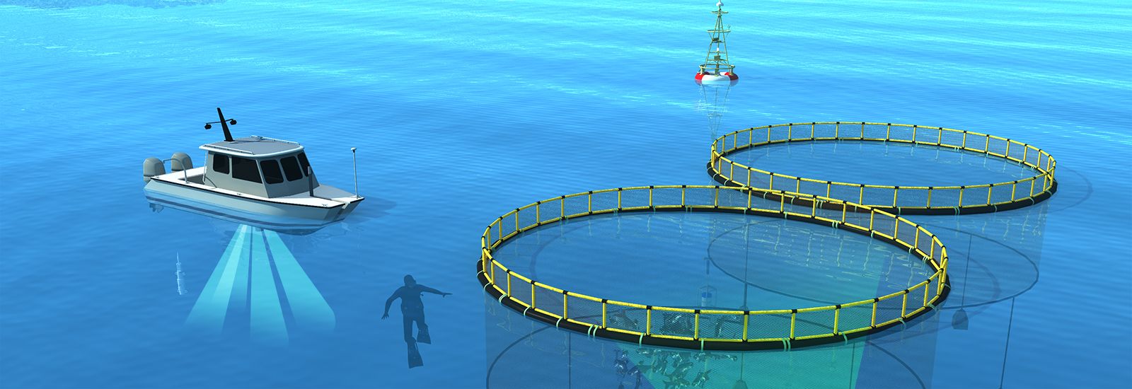 El Cultivo De Peces De Equipos